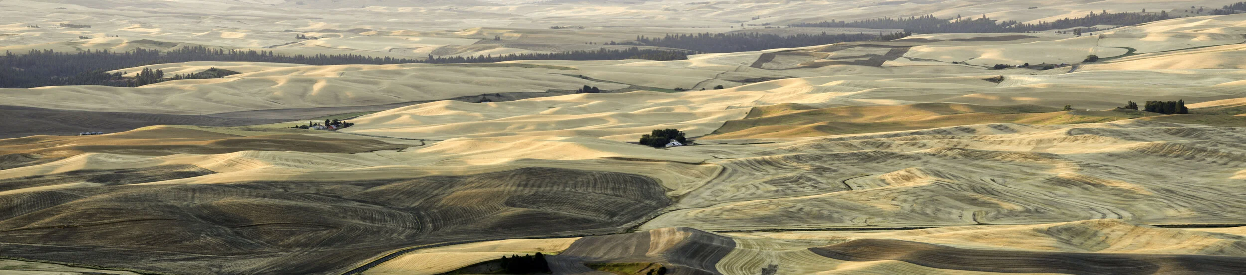 palouse 27.jpg