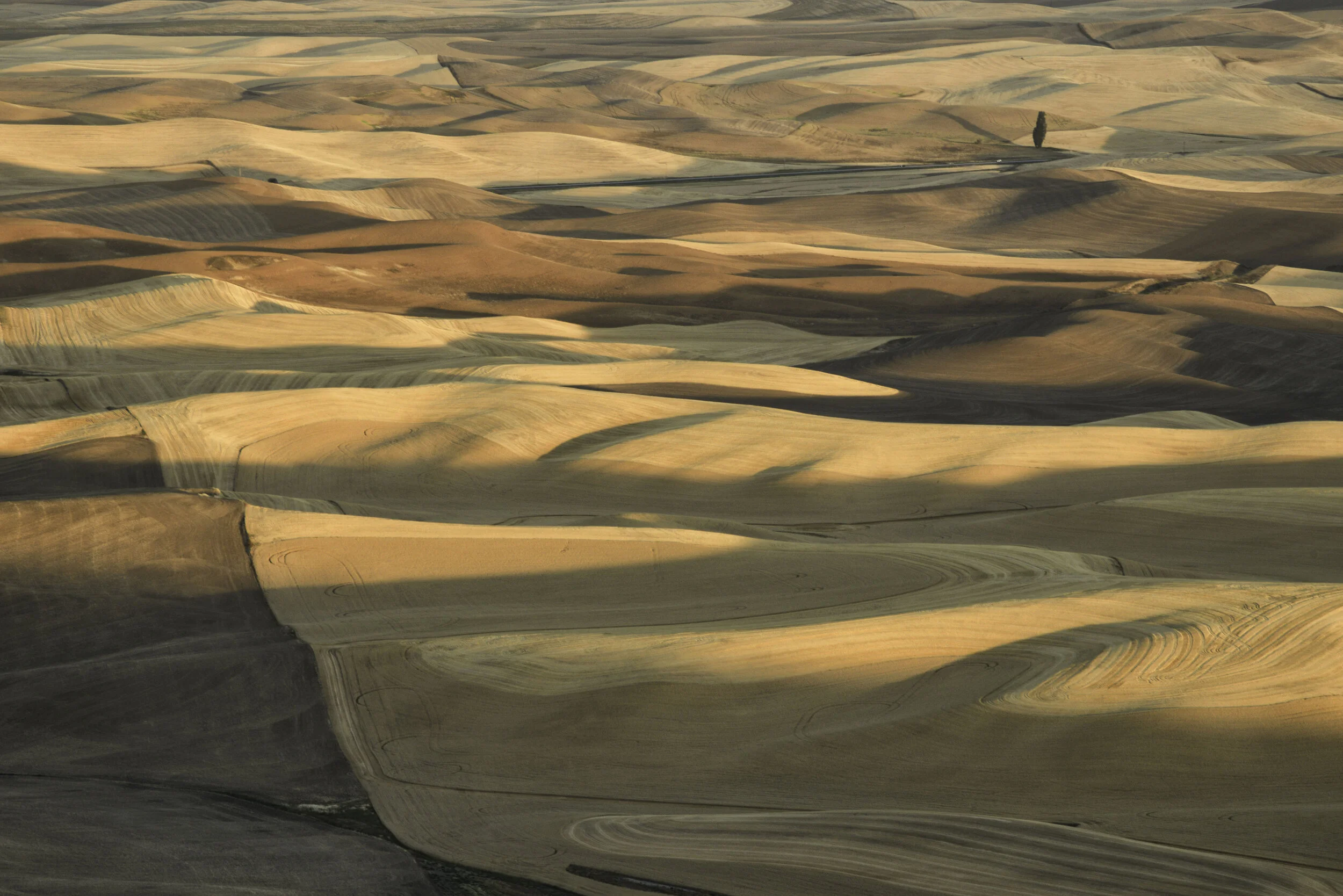 palouse 30.jpg