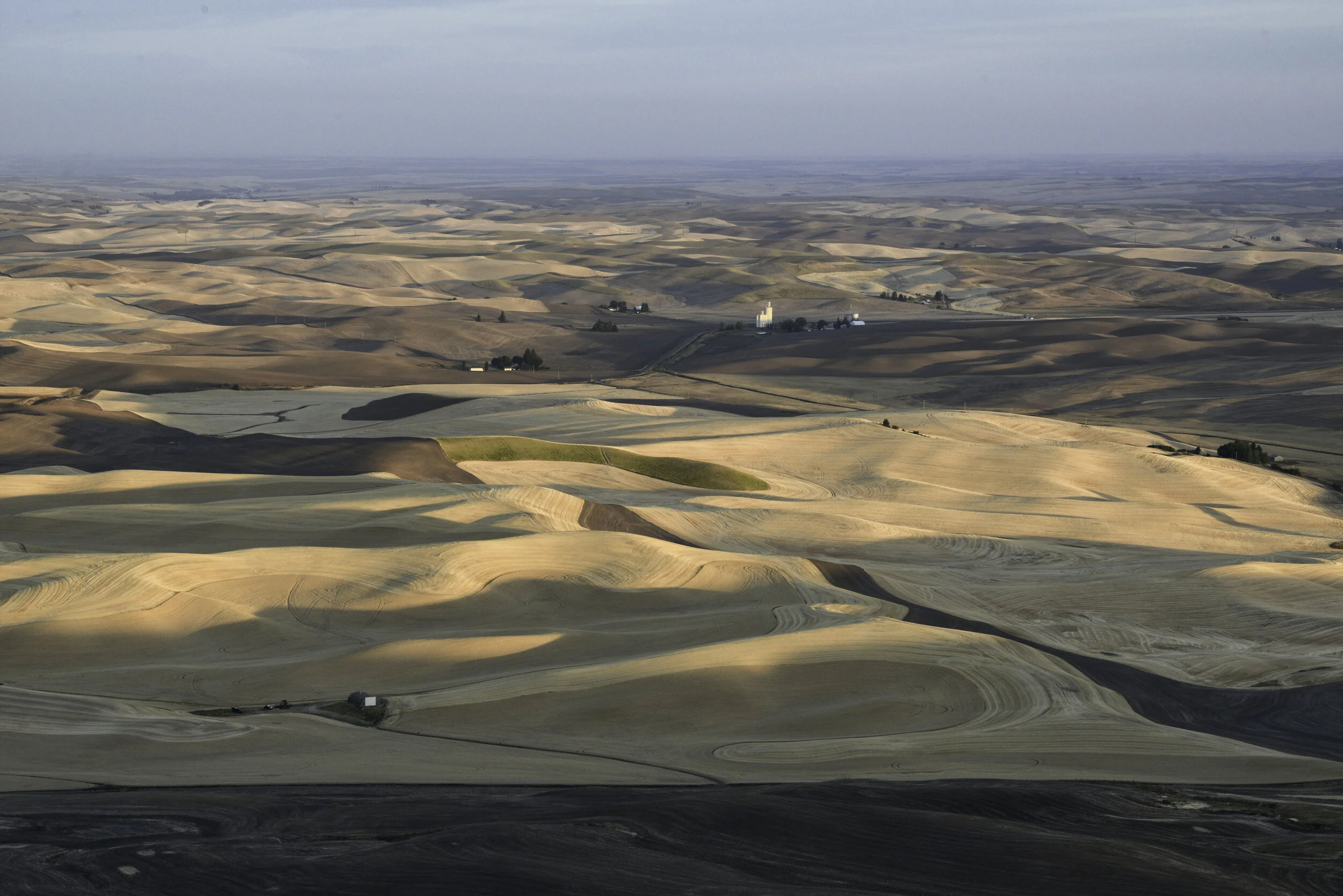 palouse 32.jpg