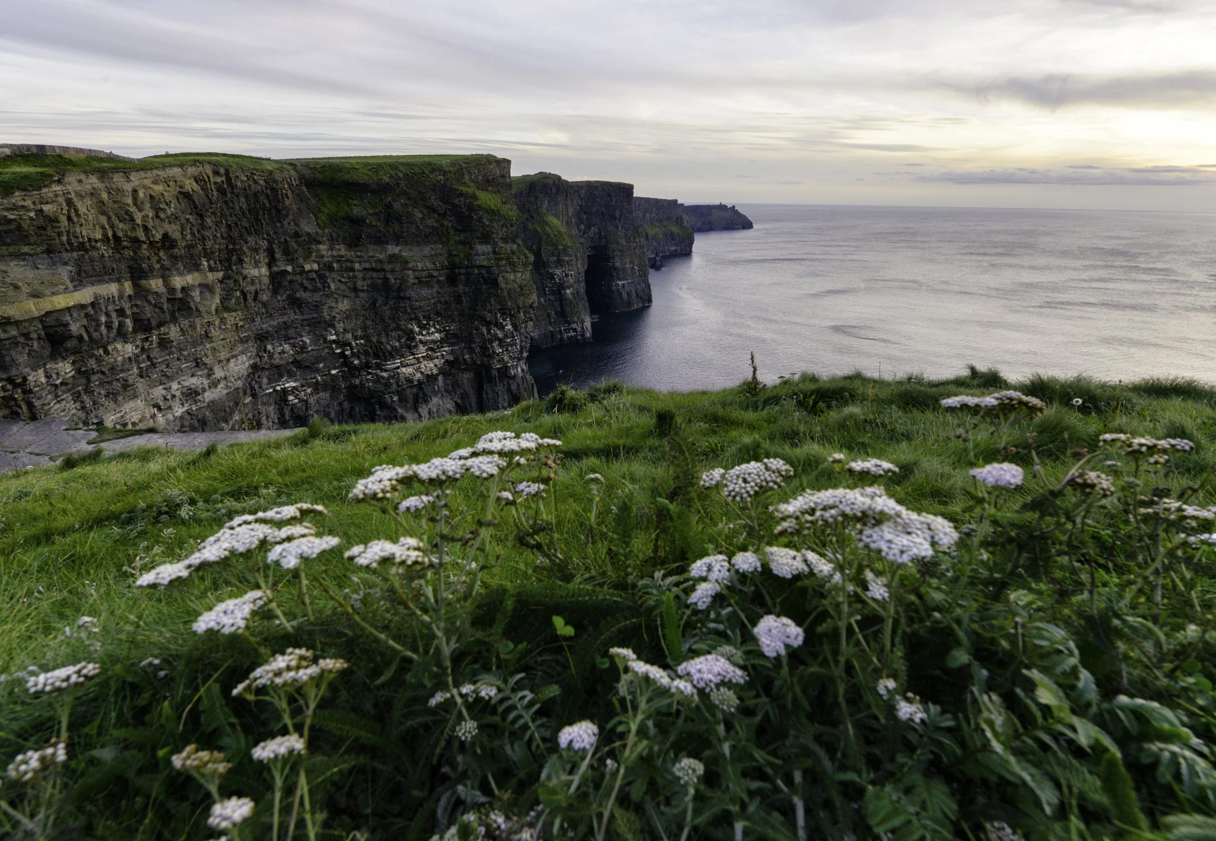 cliffs of moher 4.jpg