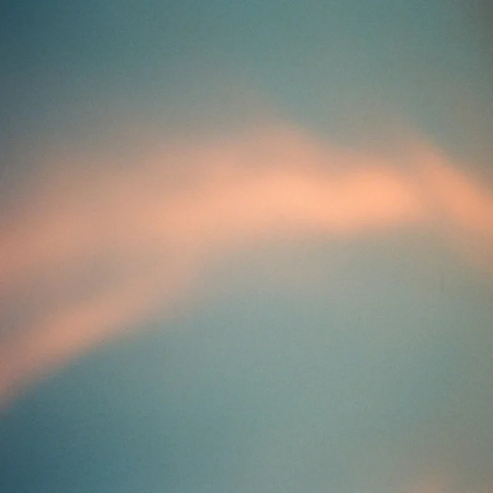 Anenon returns to Friends Of Friends with new album, Tongue