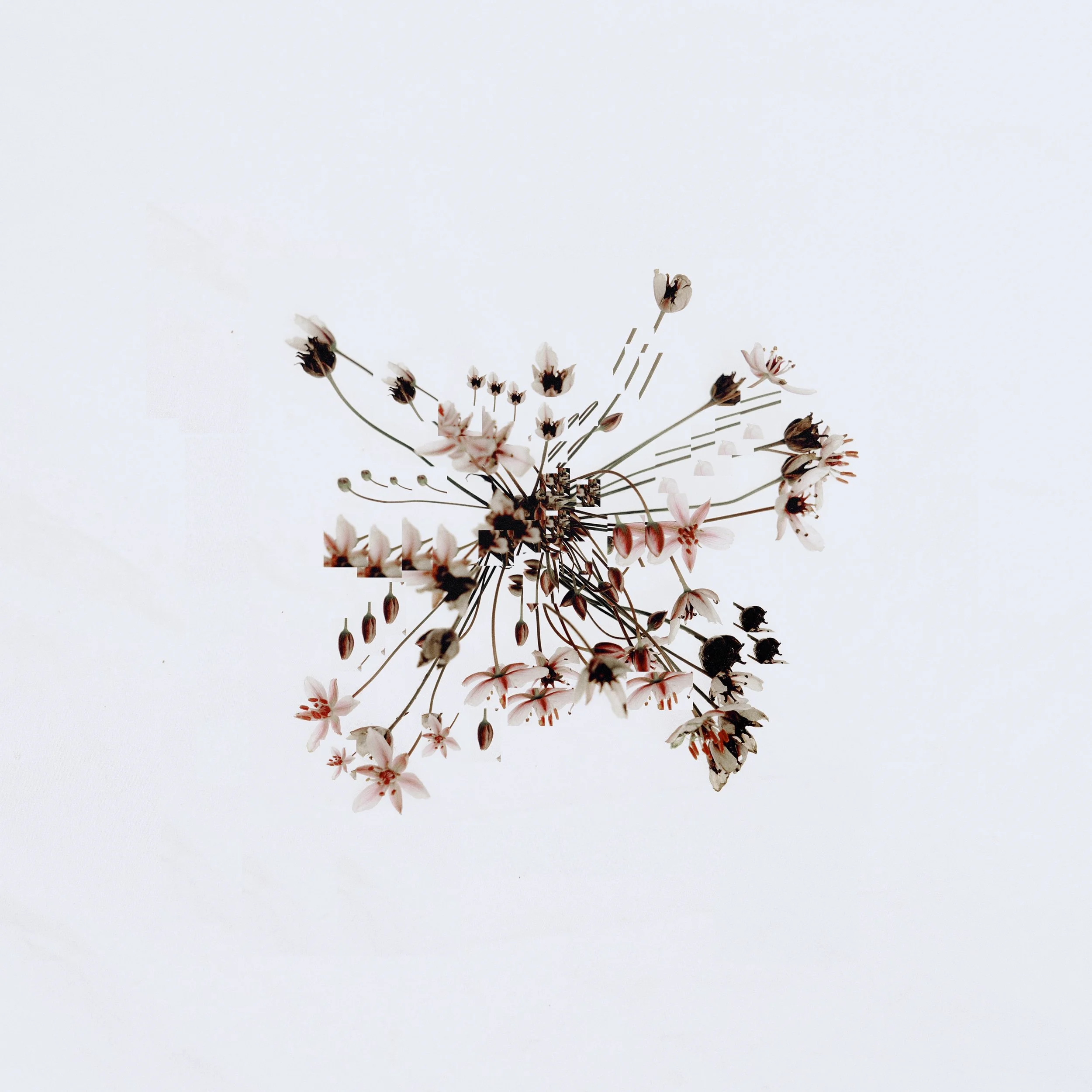 Lia Kuri releases ‘Motherland (Remixes)’ EP feat. Hologramme, IMANU, Ryan Hemsworth, Thomas White and Valentin Ignat