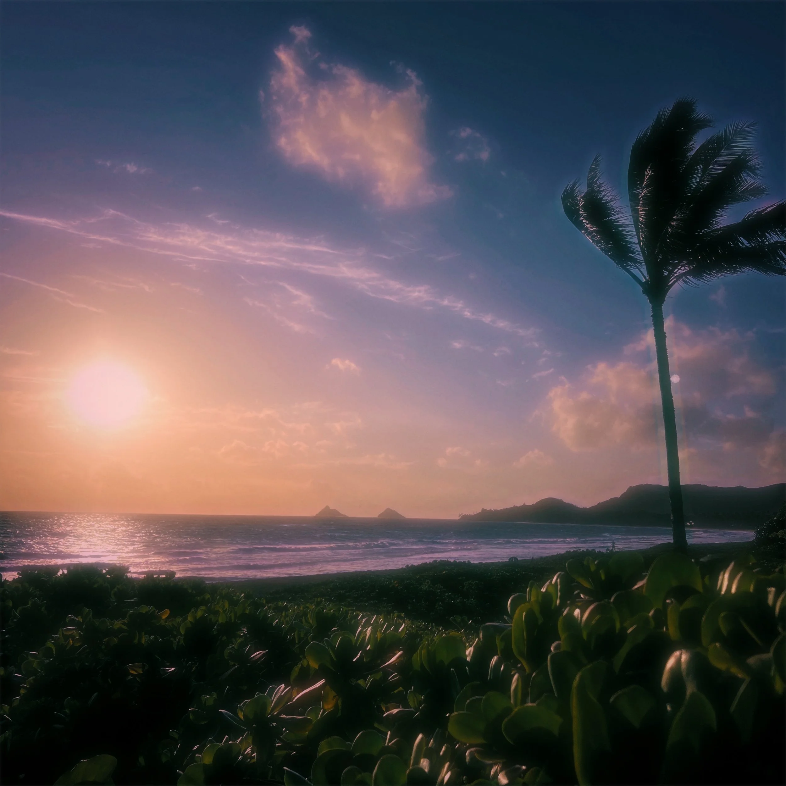 IN GRATITUDE ARTWORK.JPG