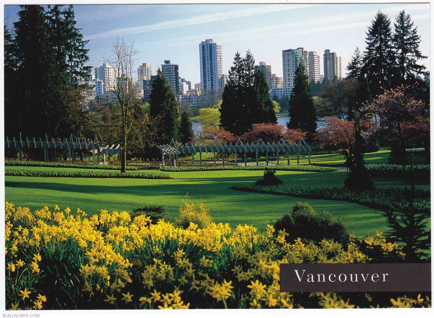 a590 CPA AK CANDA B C Vancouver Stanley Park - A Beauty Sport 