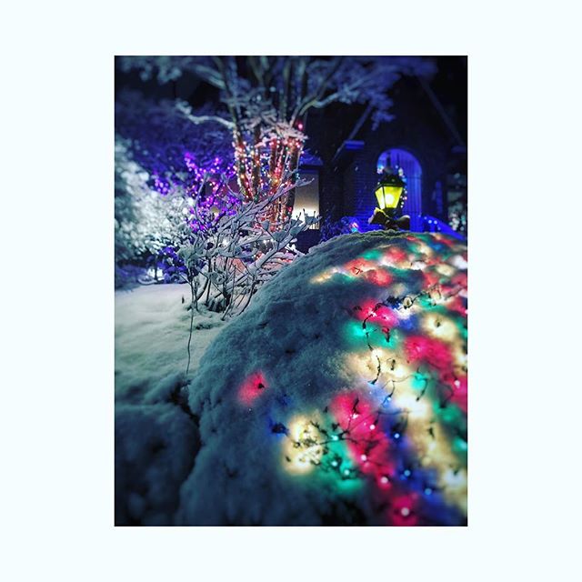 Our neighborhood is magical. 
Merry Christmas, Everyone. 🎄❤️🎄