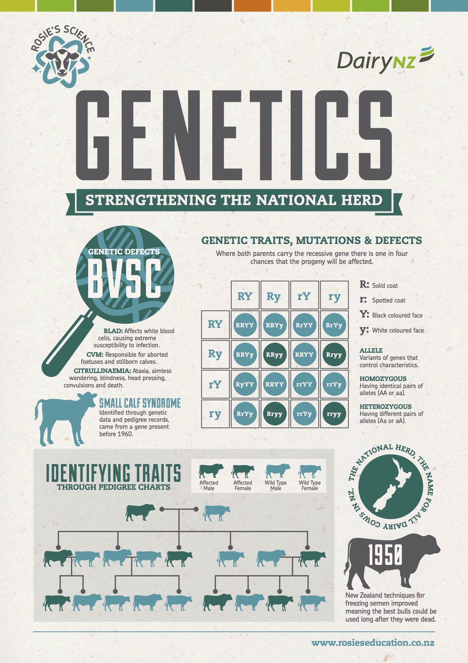 Genetics.jpg