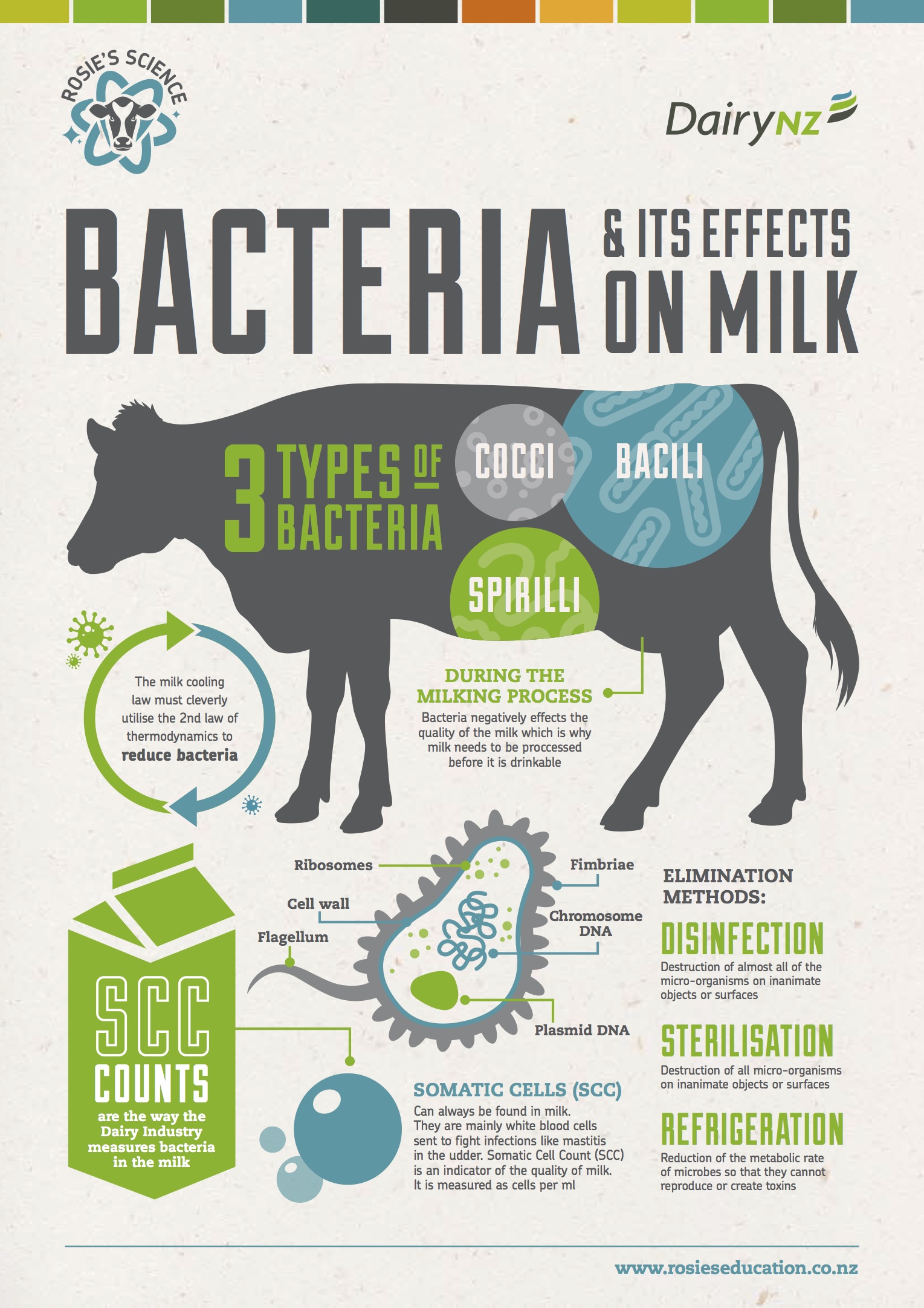 Bacteria and its effect on milk .jpg