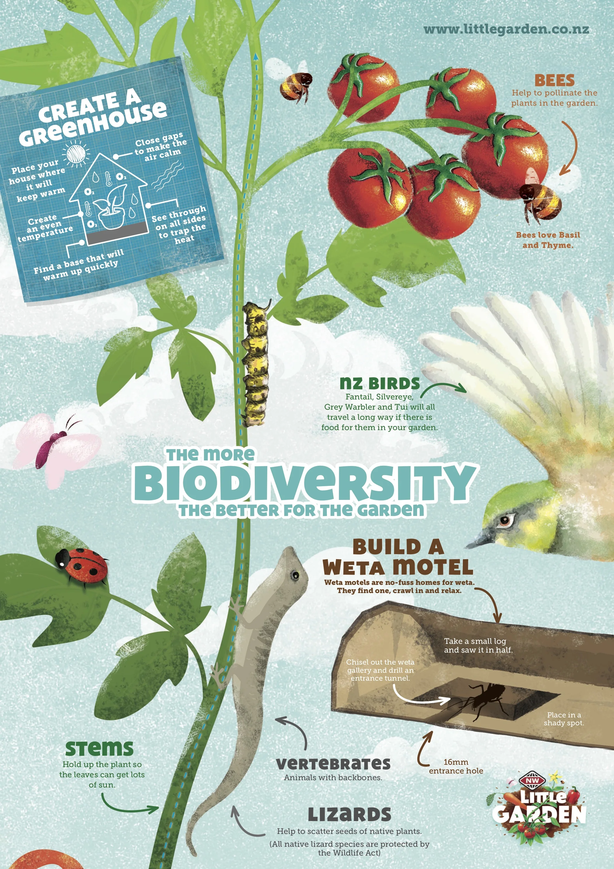 2017 Little Garden FS Biodiversity_ƒ.jpg