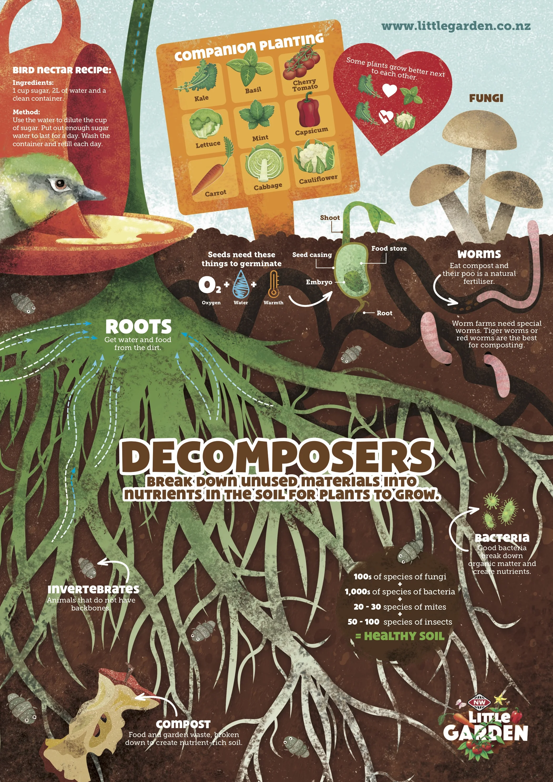 2017 Little Garden FS Decomposers_ƒ.jpg