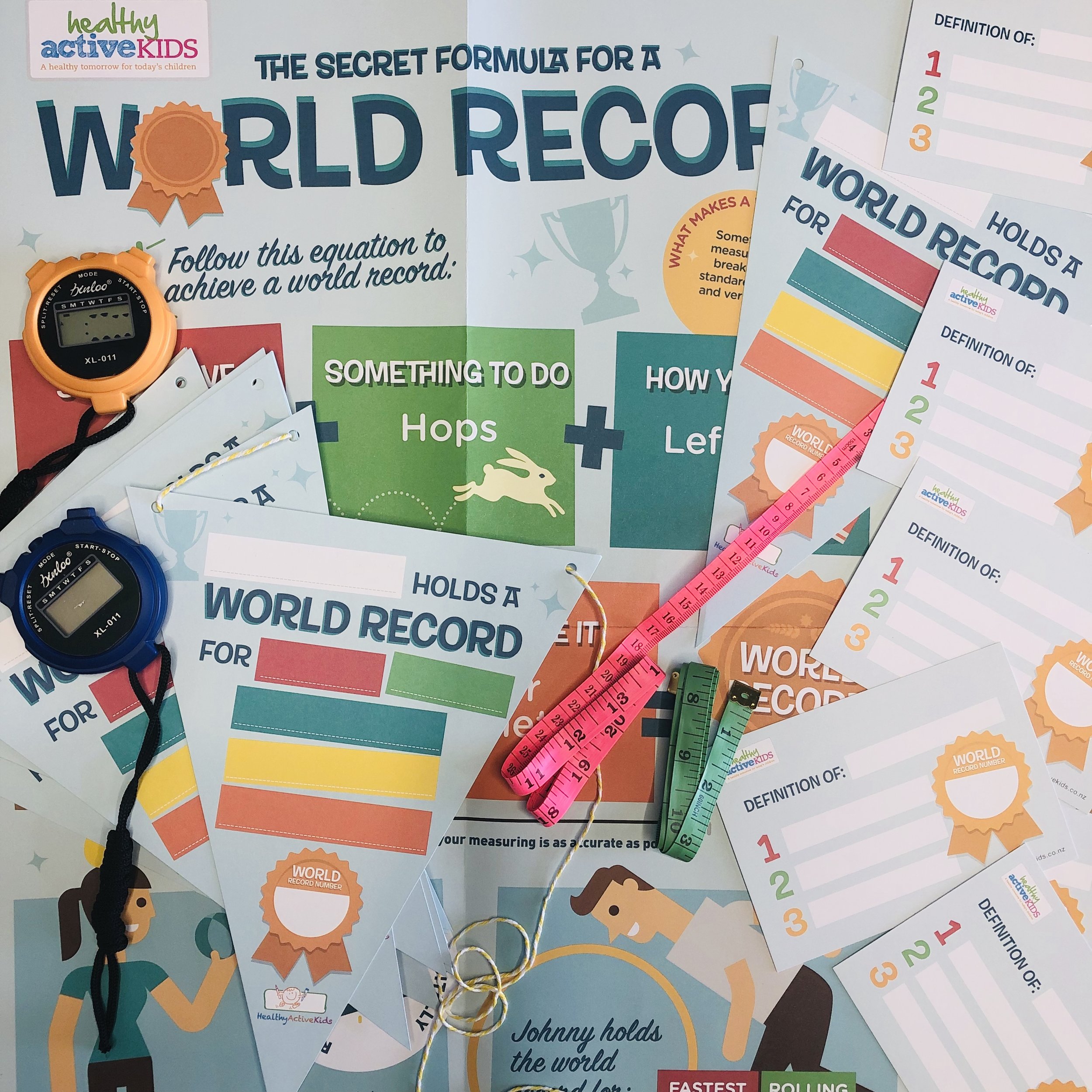 DIY World Records 2019
