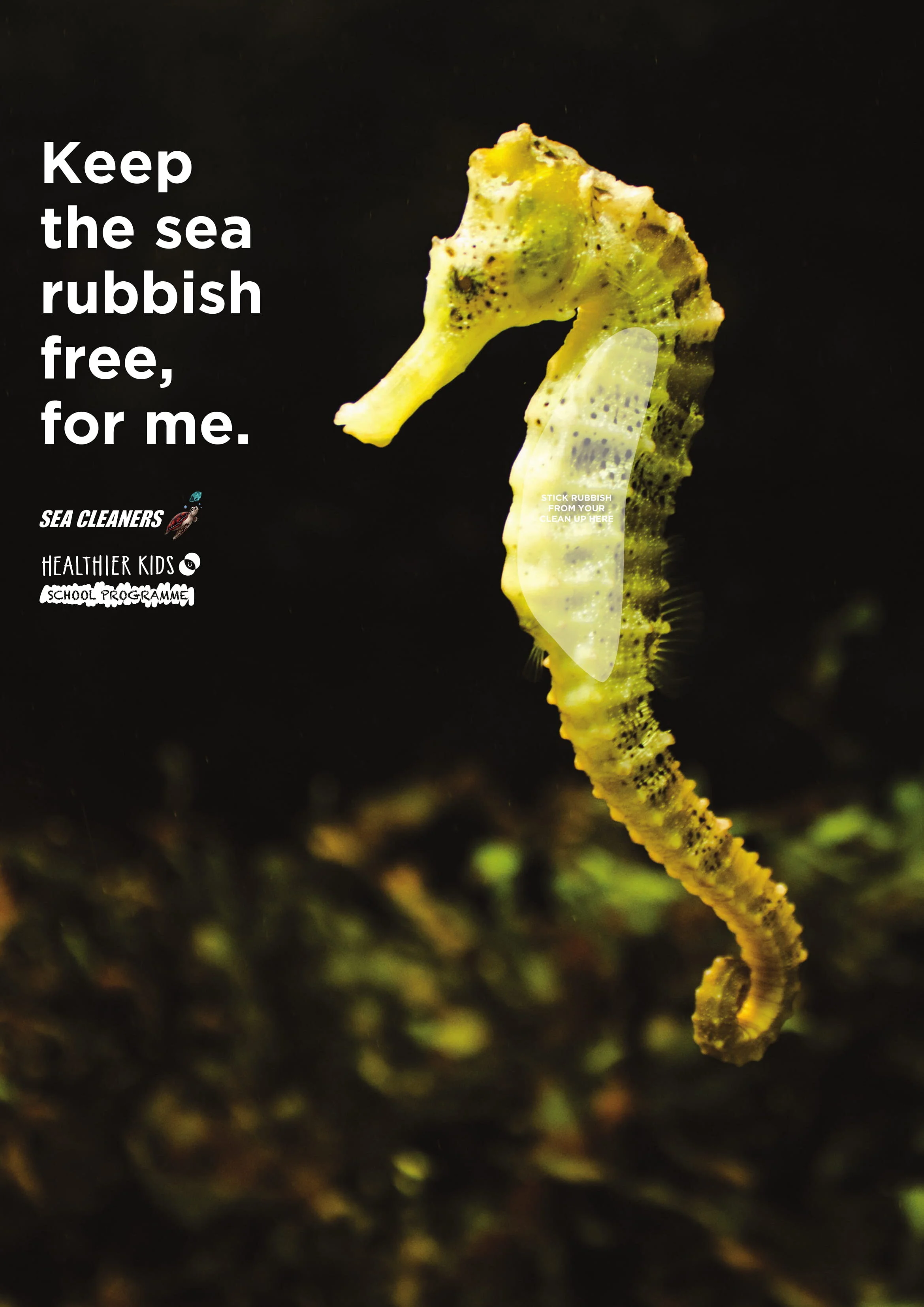 Conduct a clean up of a local green space or waterway in an effort to keep the sea rubbish free.