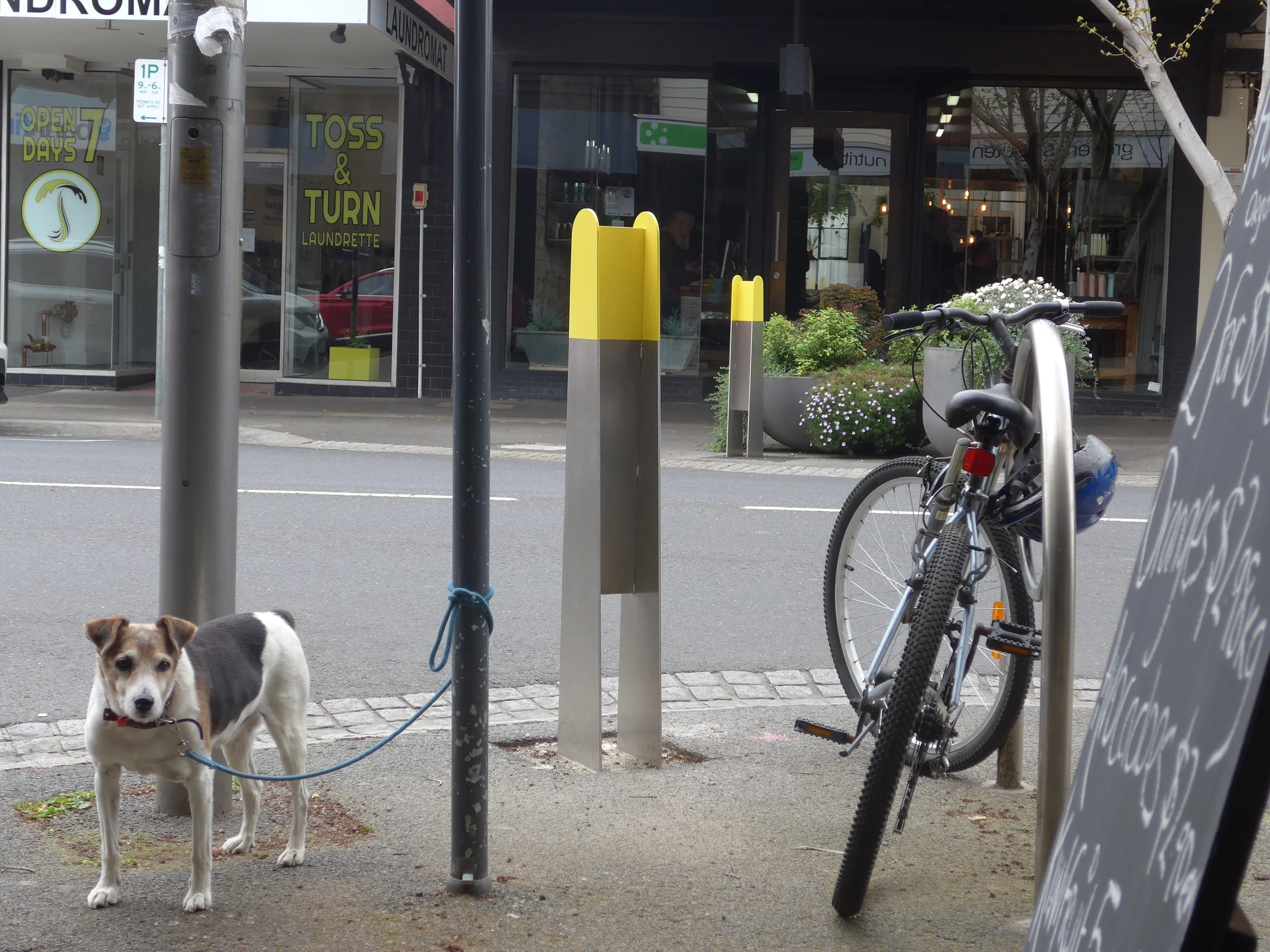 P1040754MP bollards.JPG