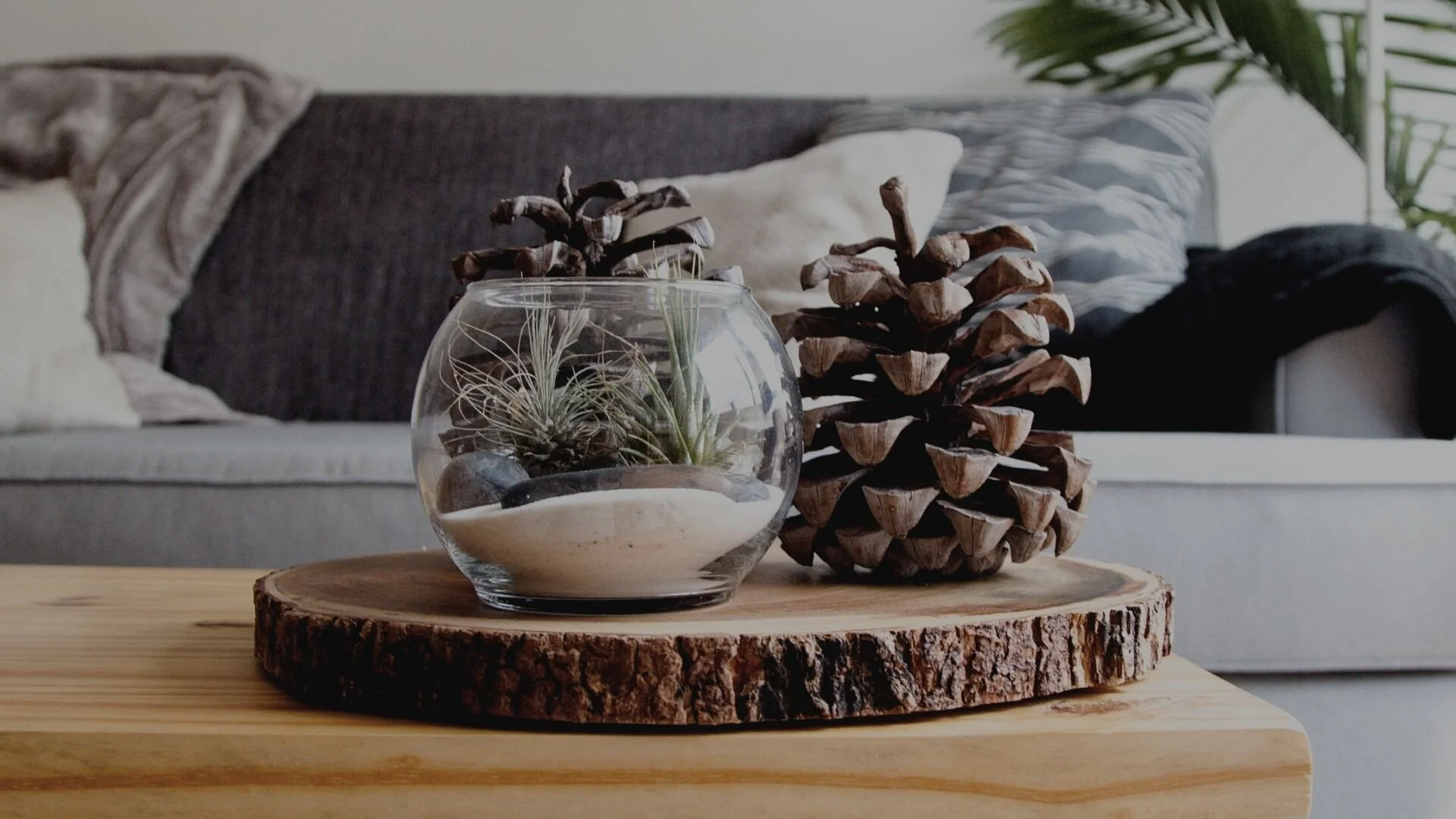 How to Present Your Home for Sale | Ultimate Guide