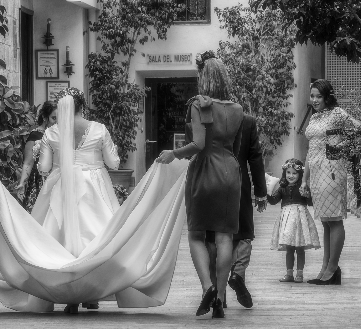 The Wedding Party