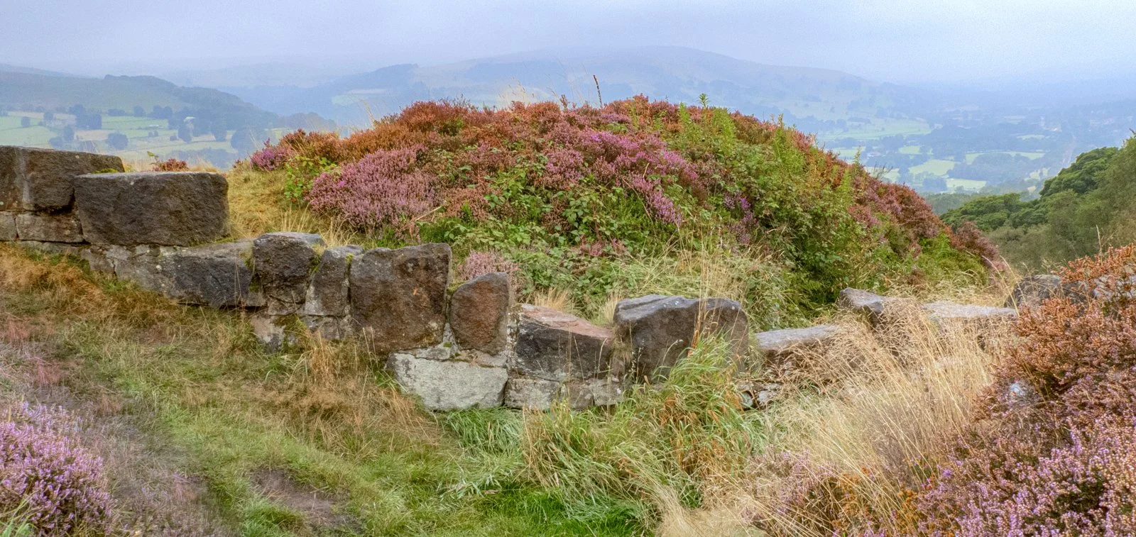 P9031464-Edit.jpg