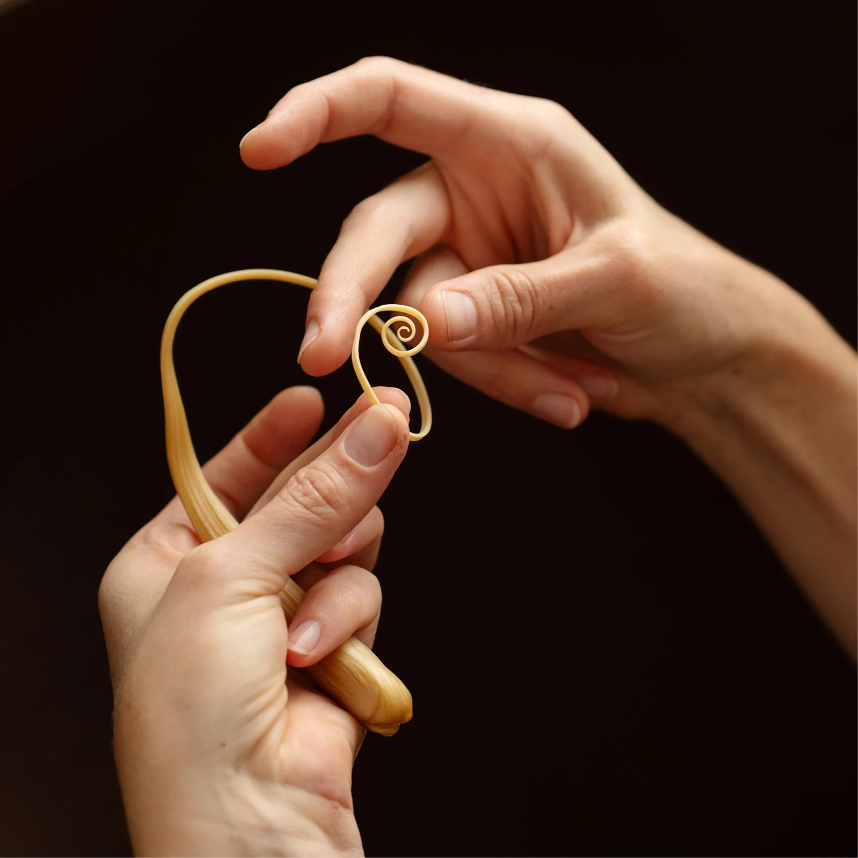 Mitsuro Hikime Workshops Autumn