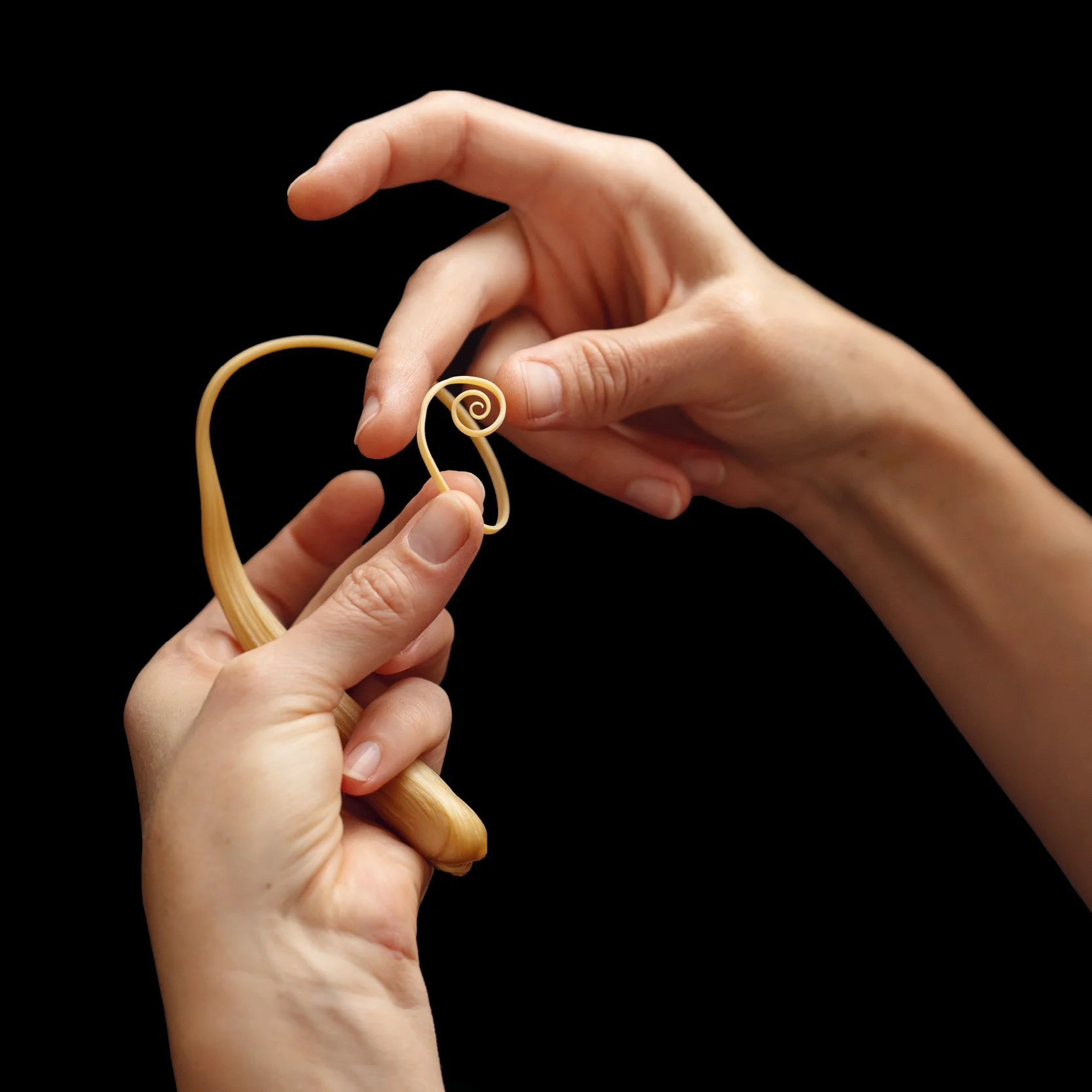 MITSURO HIKIME WORKSHOPS
