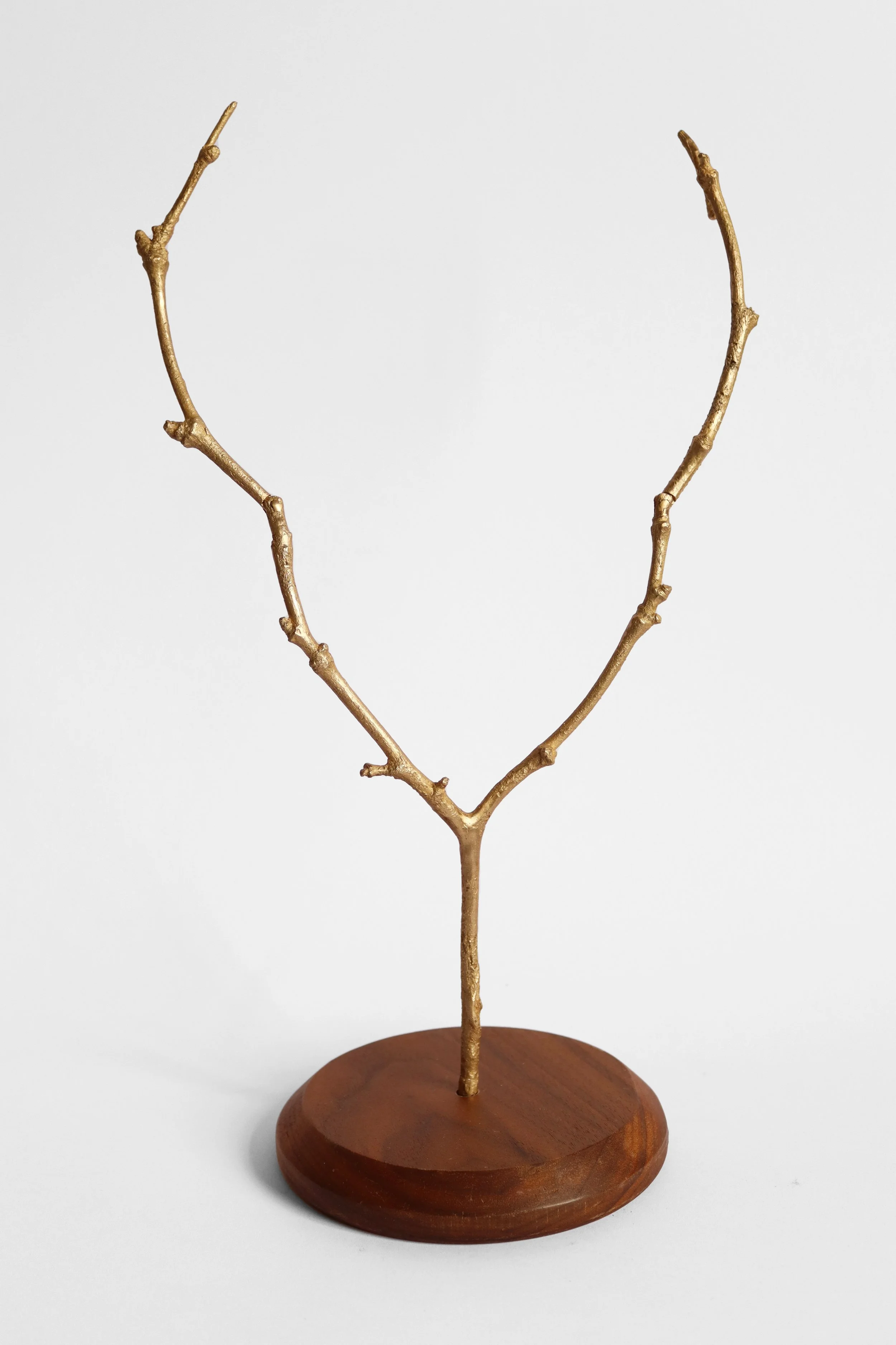 TIERNEY_WORK2_DRAGONFLY_AND_BRANCH_TORQUE_OPEN.jpg