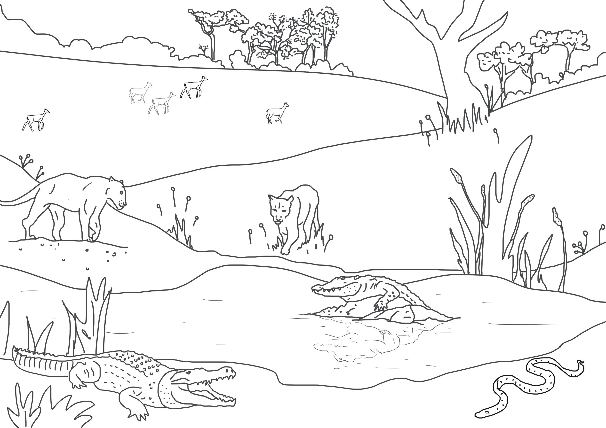 Savannah Colouring Sheet — Awesome Mama Illustration