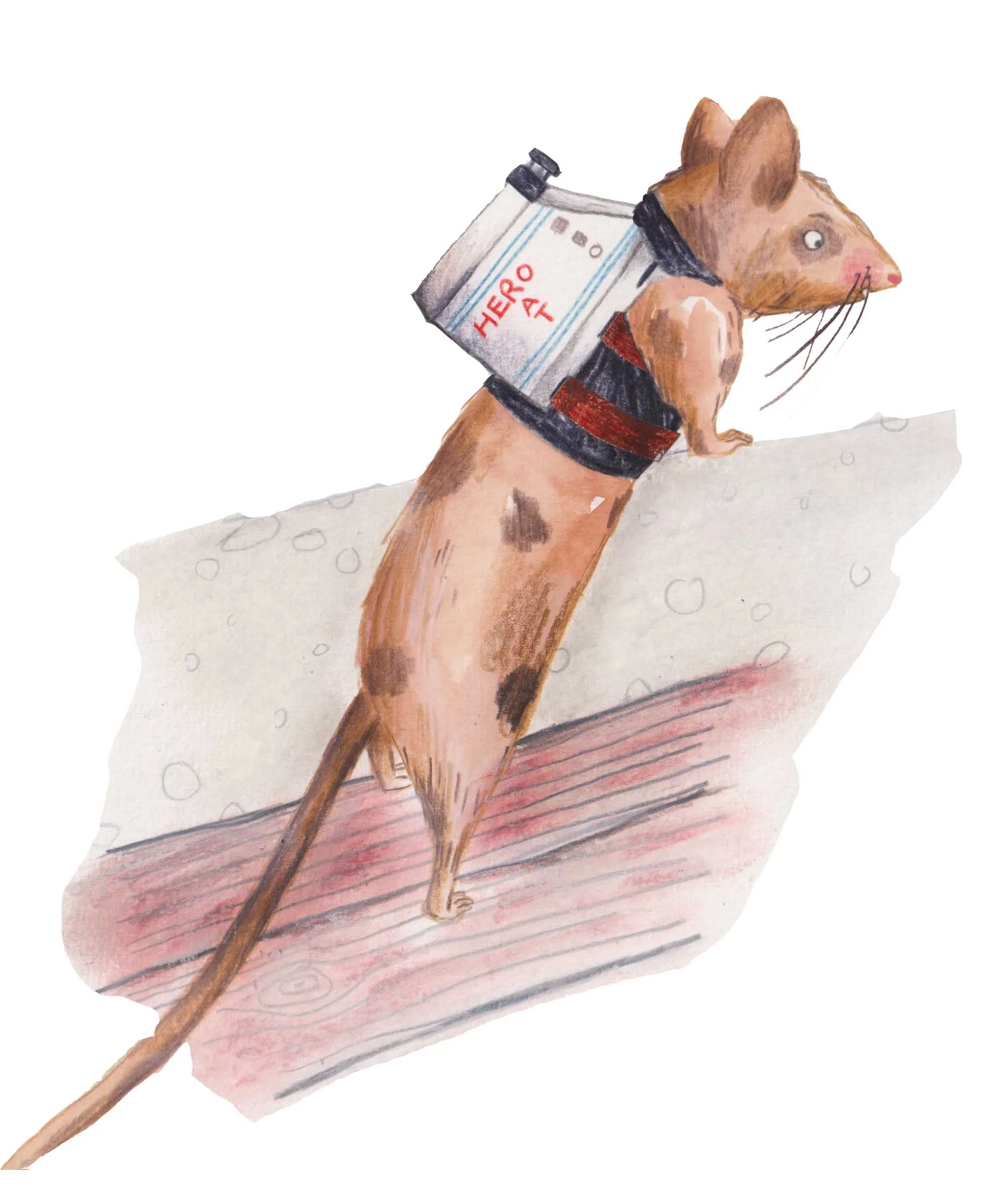 Spotty rat.jpg