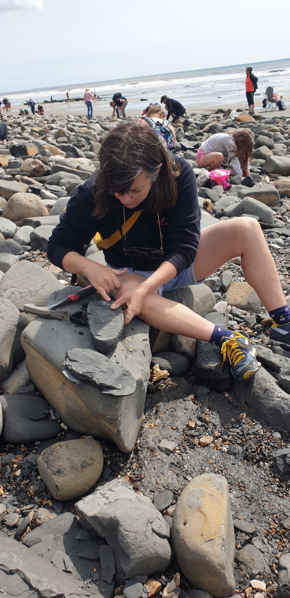 Stacey Williamson-Michie, illustrator, fossil hunting. Natural history inspires Stacey's picturebook illustrations