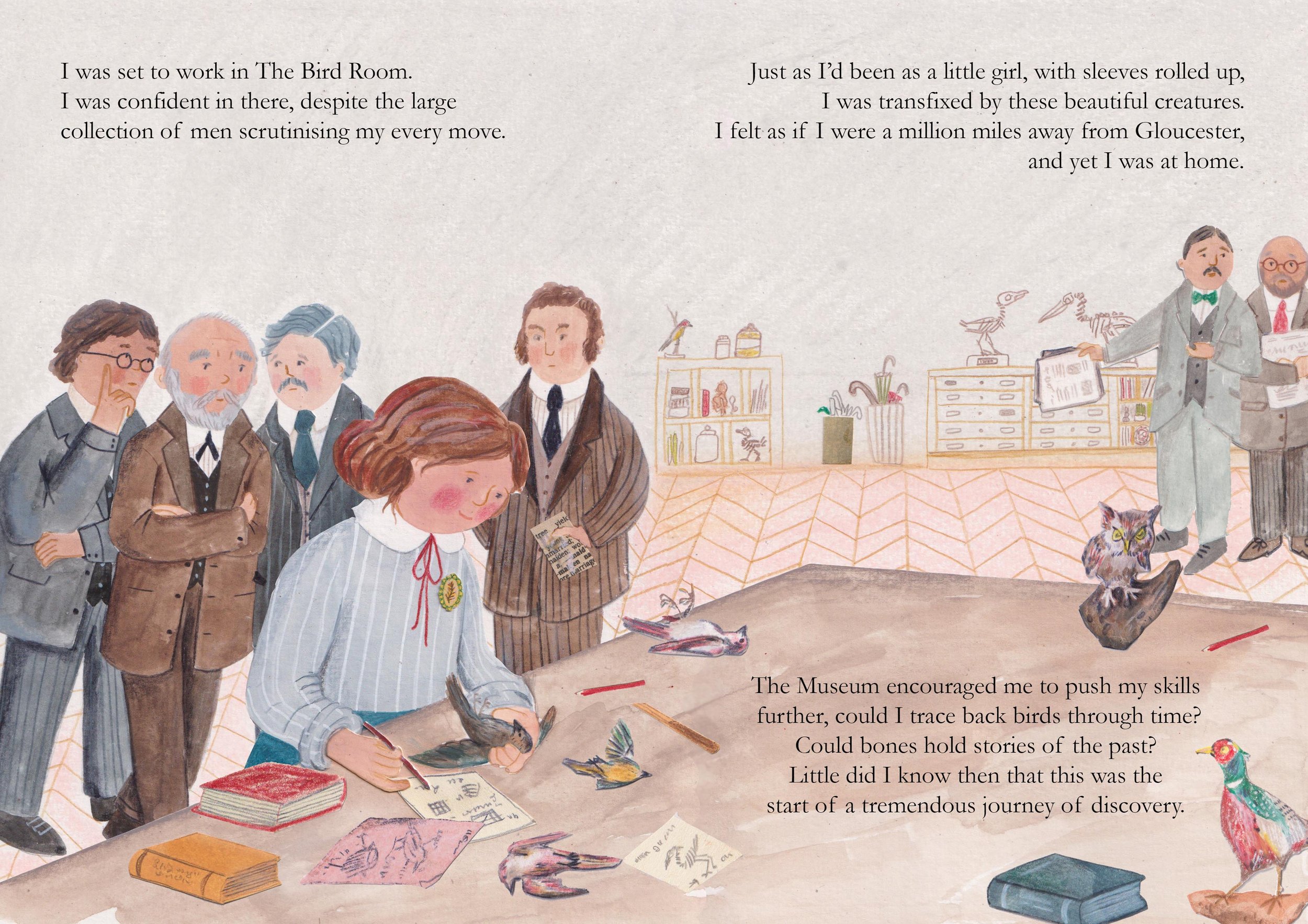 bird room spread WIP copy.jpg