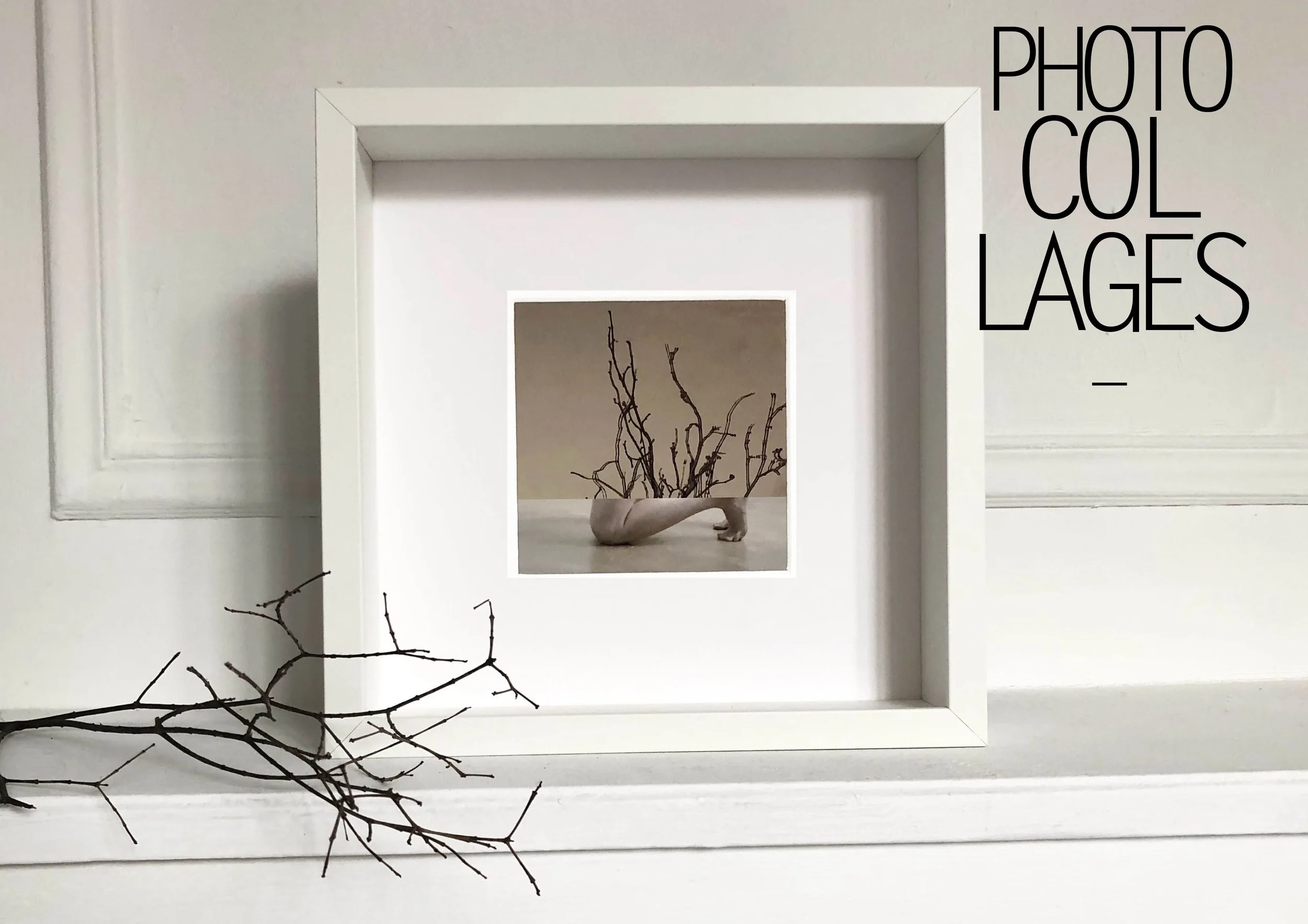 catalogue AAB v210.jpg