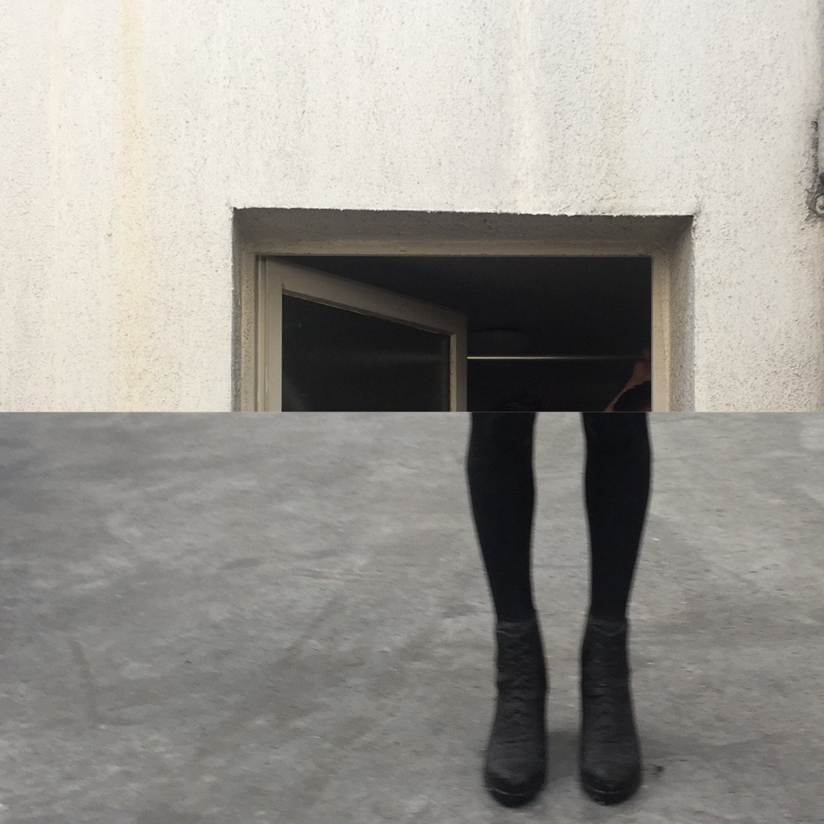 Collages 2024srg<v3.jpg