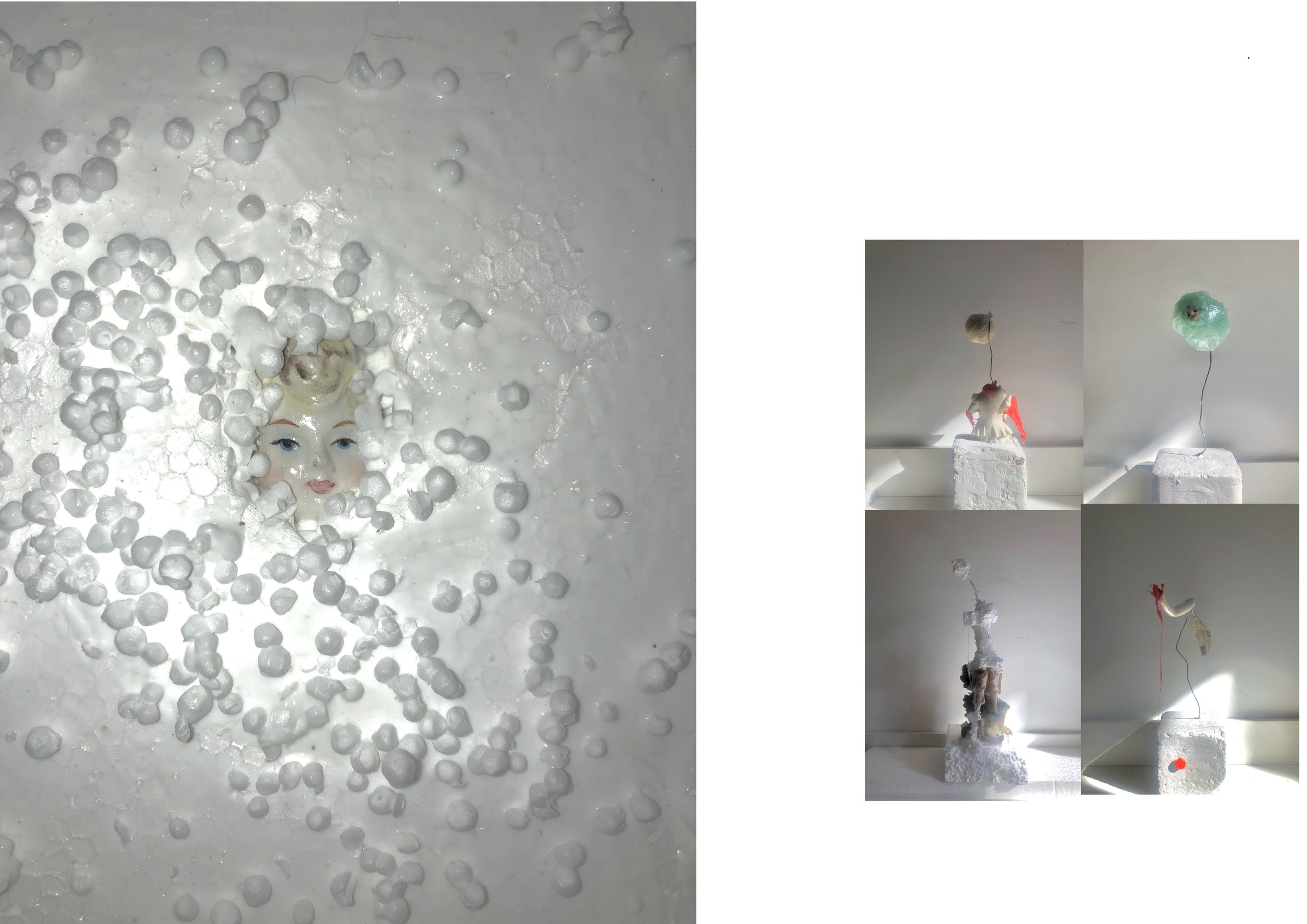 catalogue Flo 20254.jpg