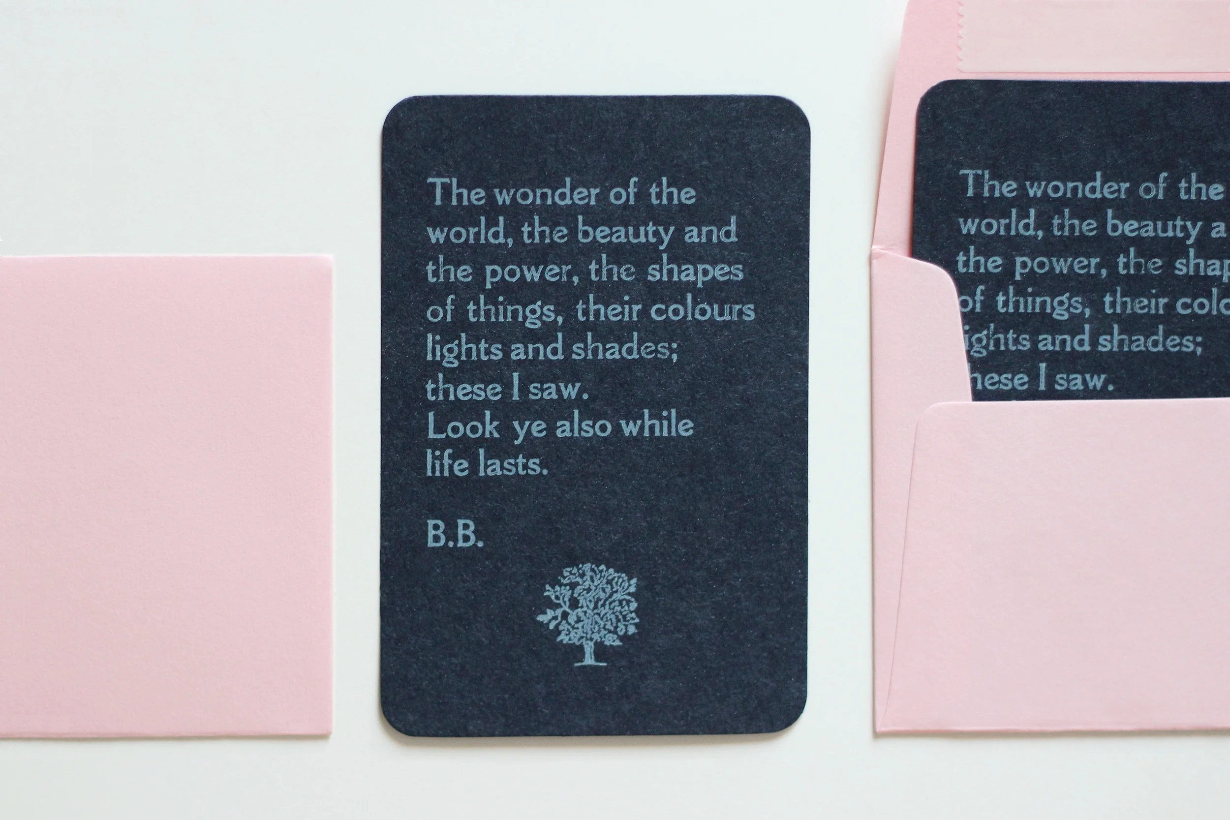 Letterpress mailer design, printed and set at The Centre Space Gallery in Bristol, with the Letter Press Collective. Based around an inspiring quote from the talented writer and naturalist Denys Watkins-Pitchford (aka BB). Set as a reminder to not let the natural world pass you by.