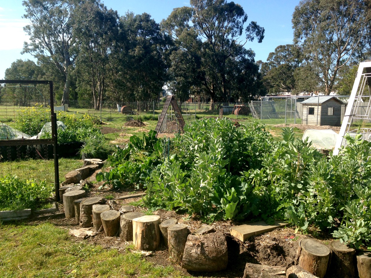 melbourne_school_vegetable_gardens.jpg