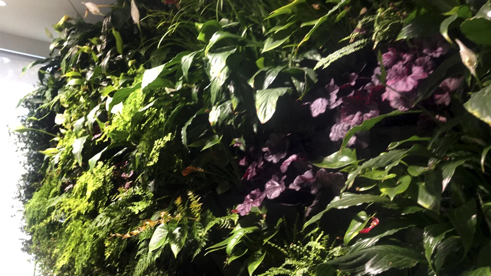 melbourne_vertical_wall_gardens.jpg