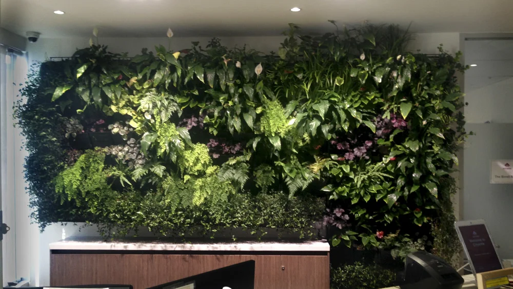 vertical_wall_gardens_melbourne.jpg