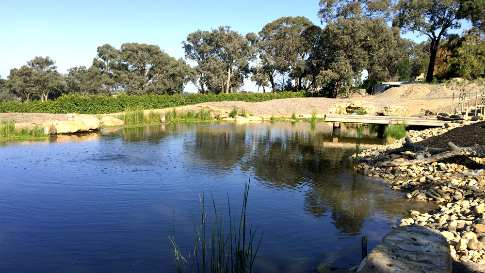water_garden_melbourne.jpg
