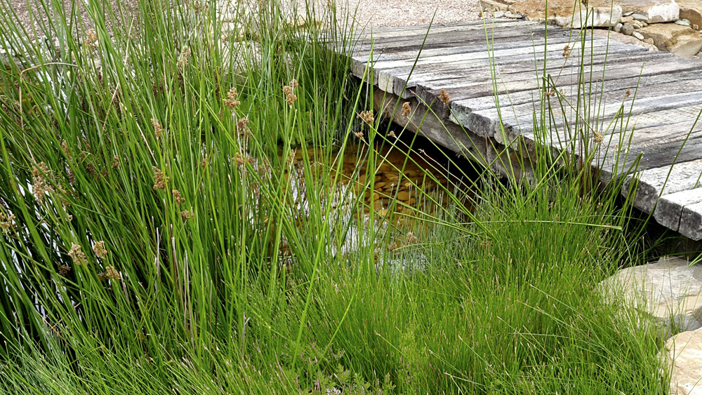 stem_landscape_architecture_wetlands_.jpg