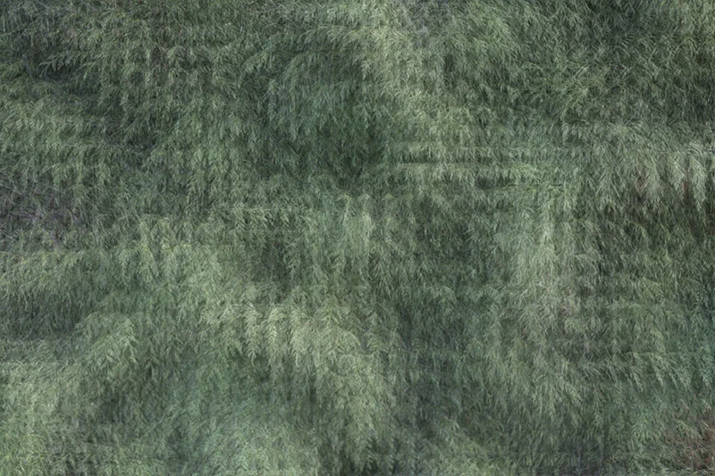 862B4821.jpg