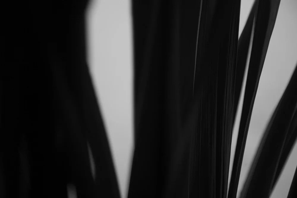 _MG_3320.jpg