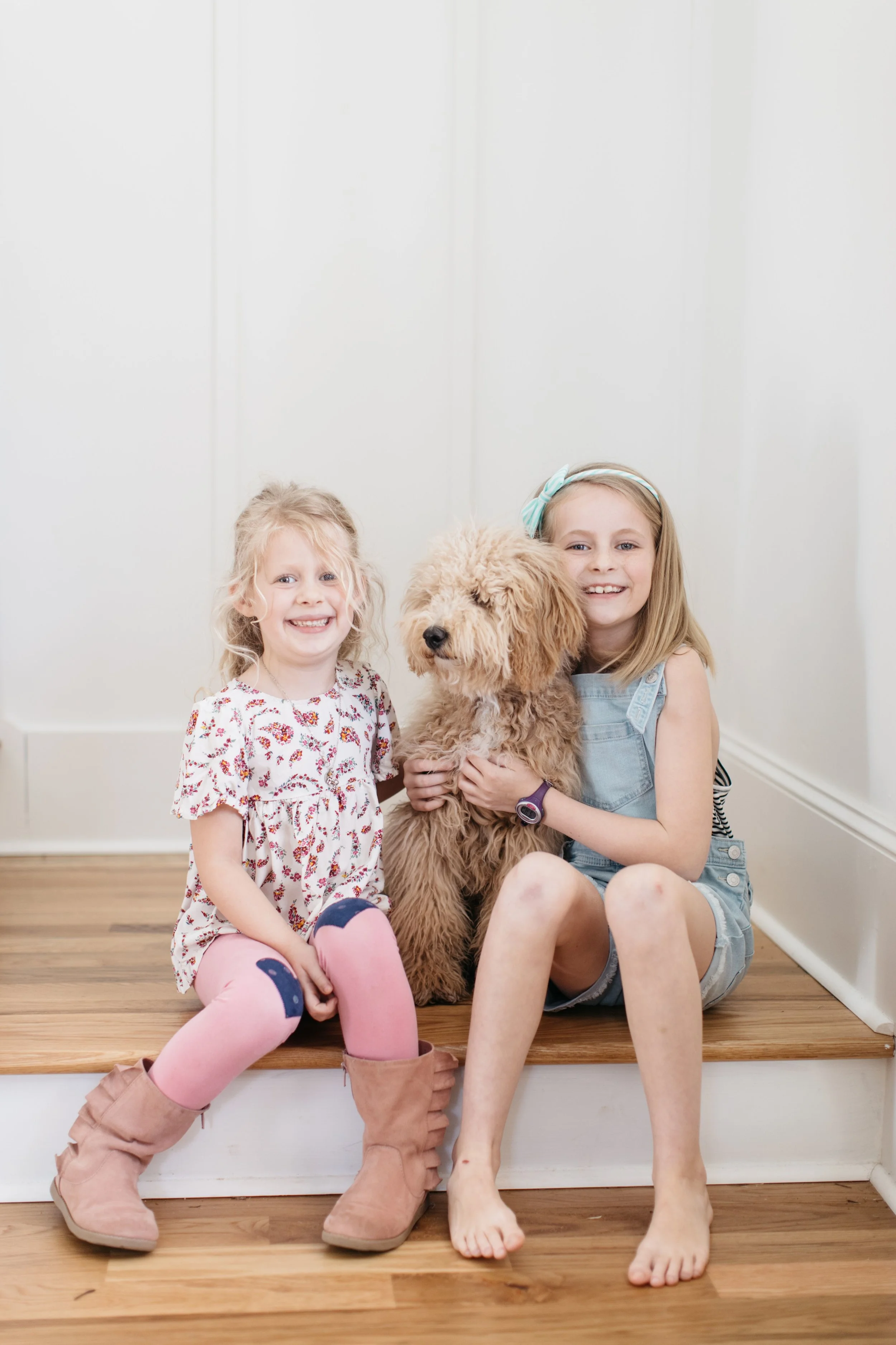 Chief + My Favorite Stylish Dog Must-Haves