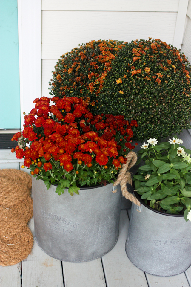 Fall Entryway Makeover with Wayfair