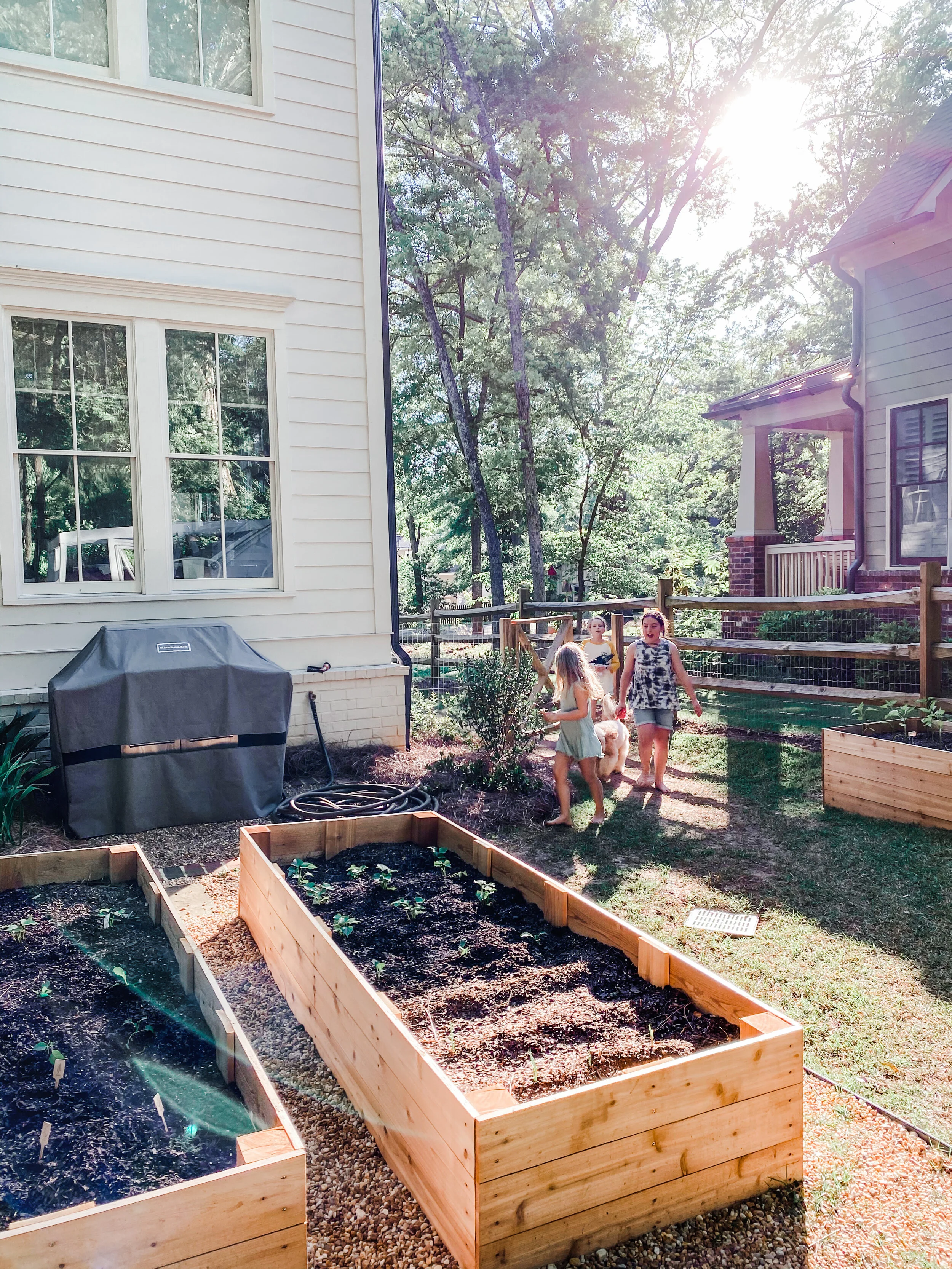 Setting Up Your Raised Beds
