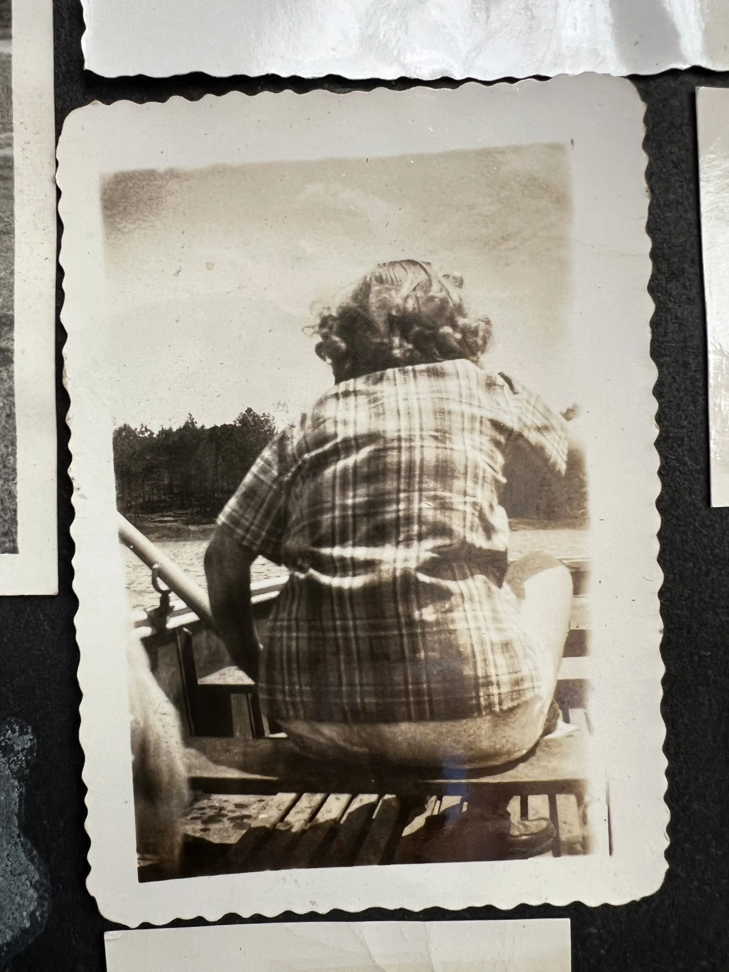 The History of our Farm