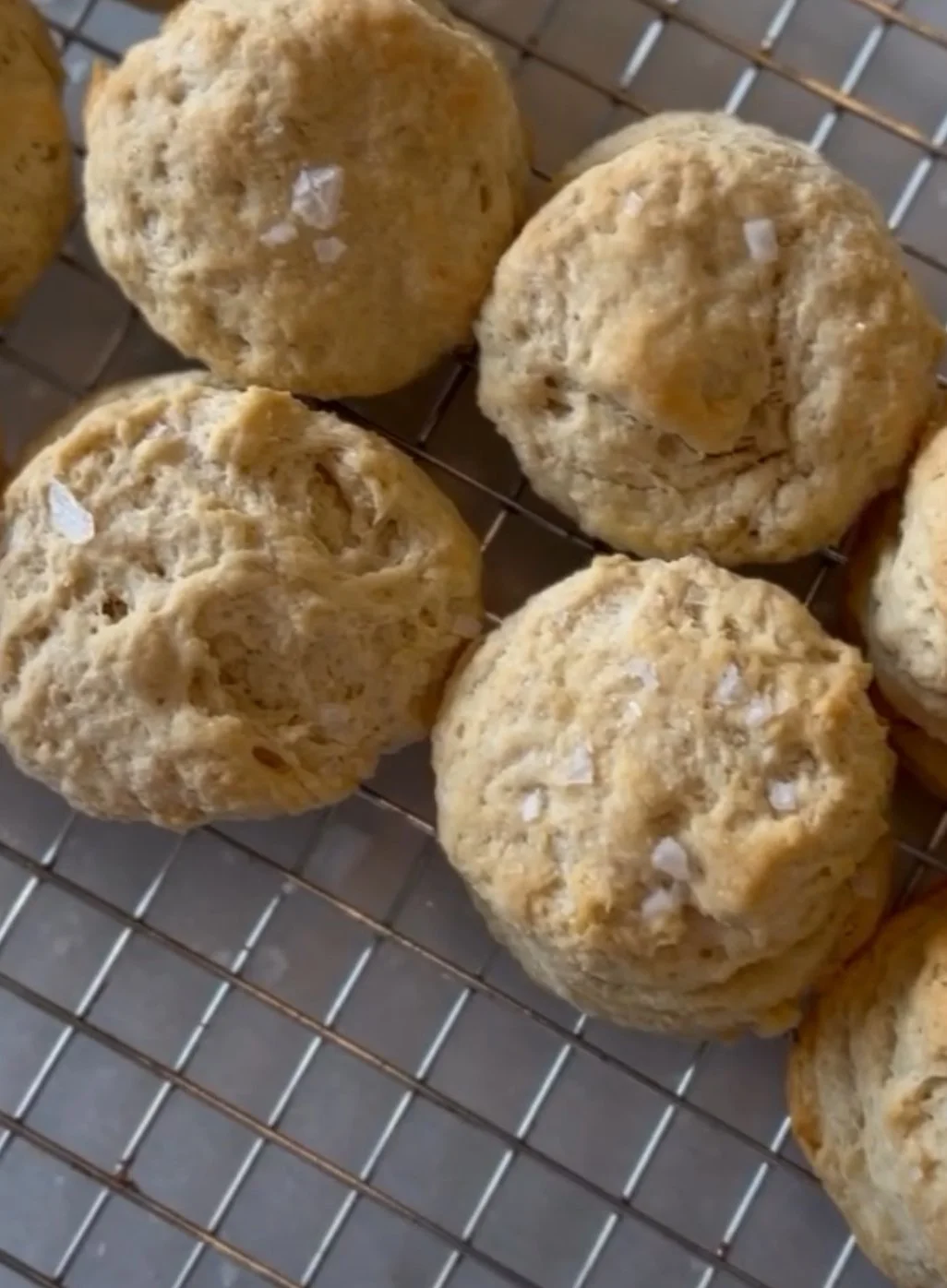 Sam's Buttery Saturday Morning Sourdough Biscuits