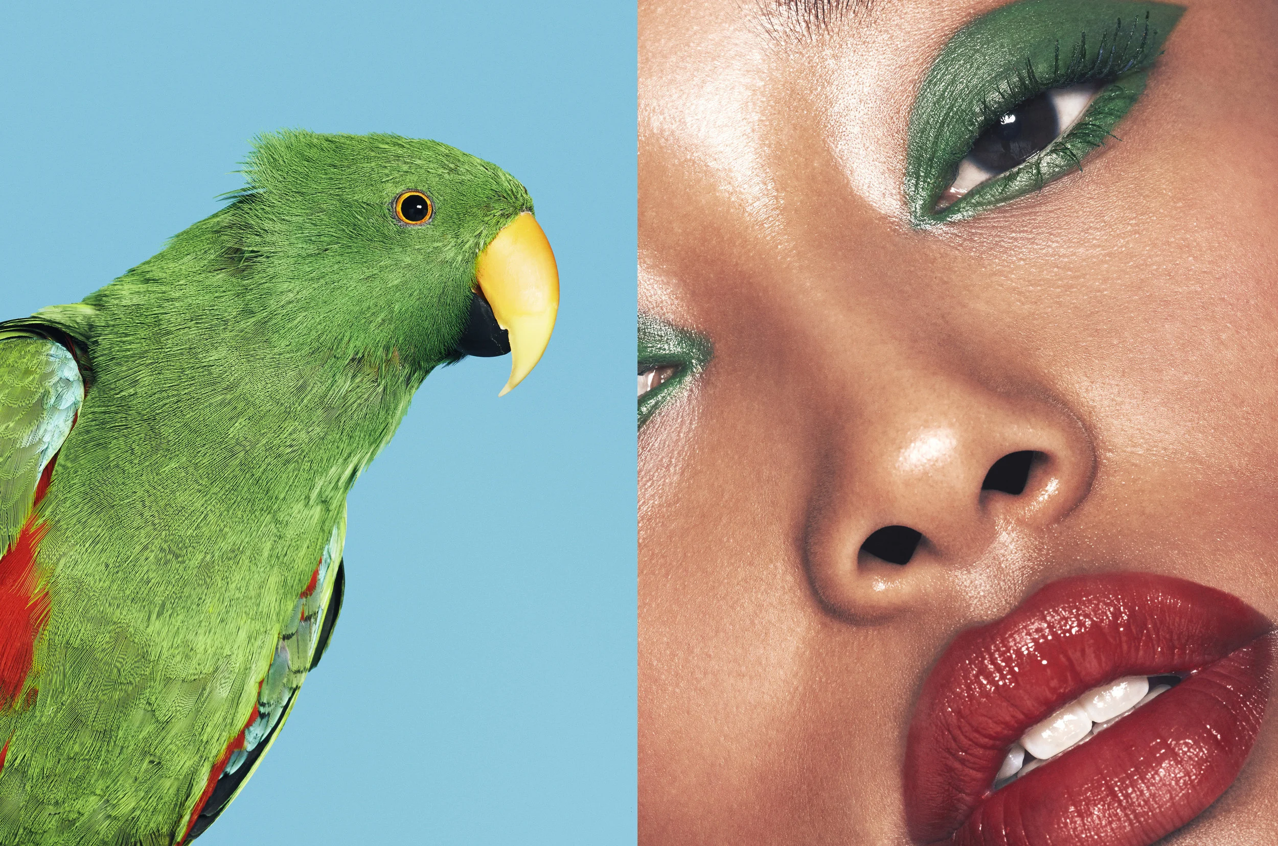 Make-up Artist: Florrie White | Photography: Mark Cant