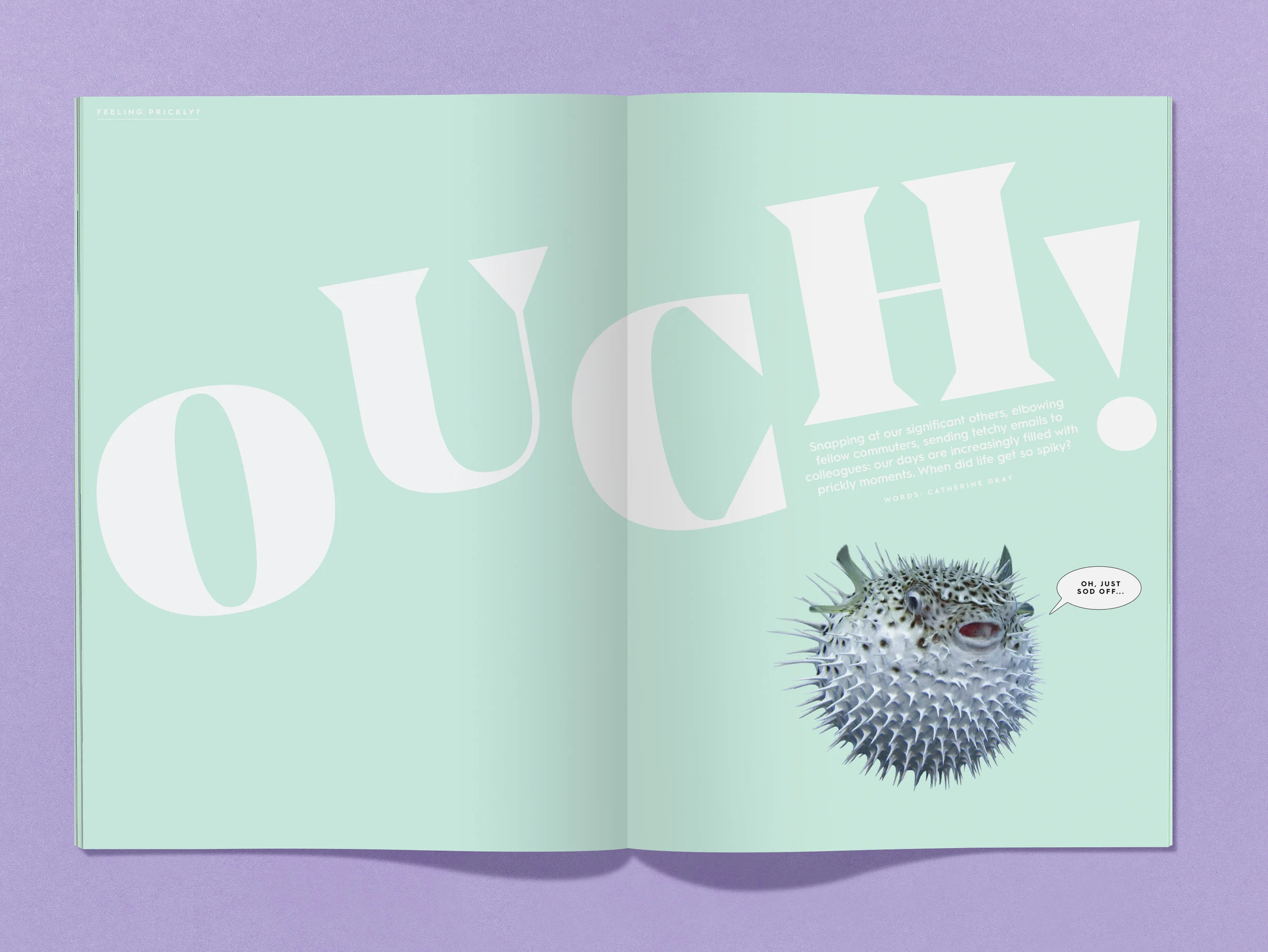 Big type and a small puffer fish to illustrate a feature on being spiky towards others. 