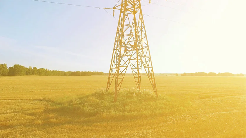 Power-Line-side-image.jpg