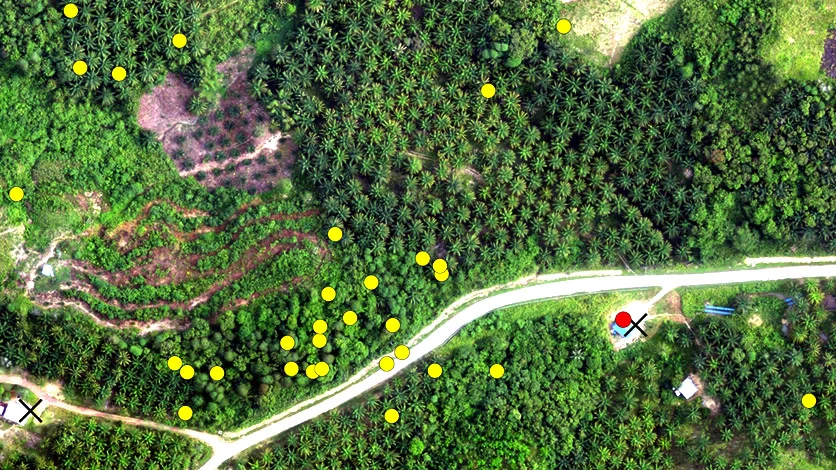 DotMapping-1.jpg