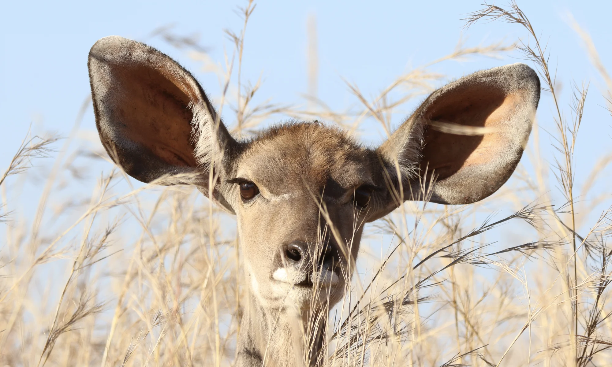 Product, Call Internal Comms. Like, Yesterday.