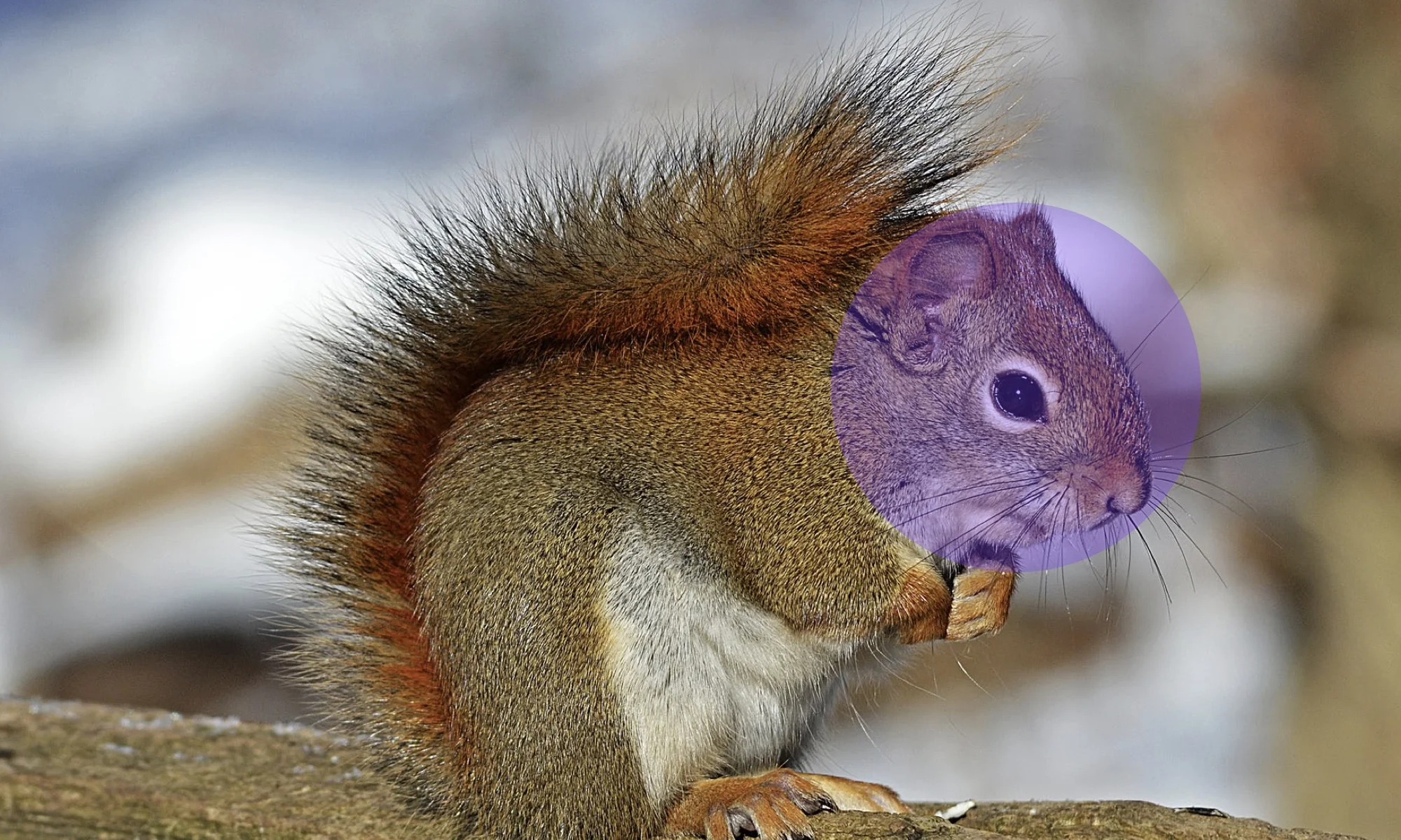 AI: The End of the Amazing Employee...?