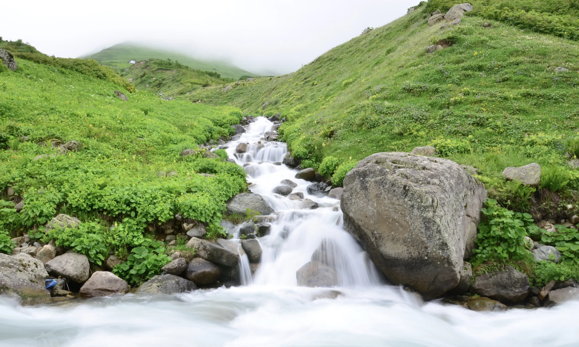 The #1 Rule of Tech Adoption You Can't Violate