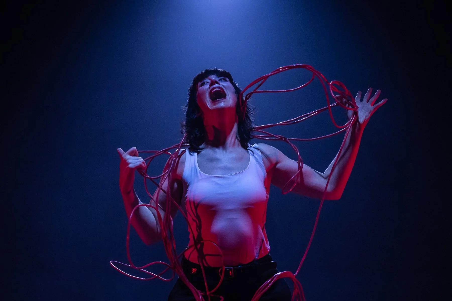 Beautiful Evil Things_Deb Pugh_Photo by Camilla Adams_6.jpg